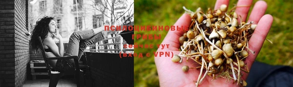 круглые Арсеньев