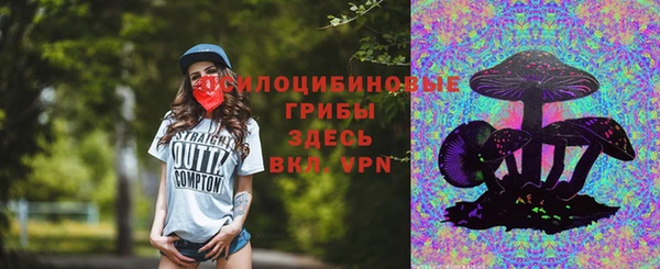 молекула духа Алзамай