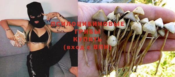 бутират Алексеевка