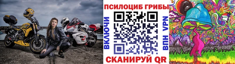 мега ONION  дарнет шоп  Строитель  Галлюциногенные грибы Cubensis 